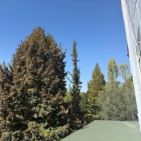 One-bedroom In The Heart Of Apartment Tirana